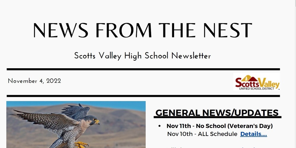 News from the Nest - November